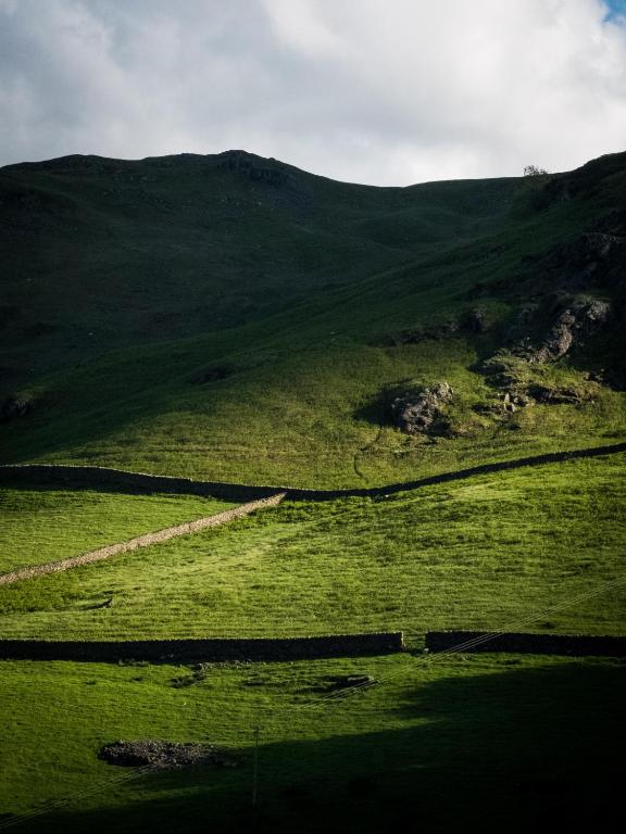Surrounding environment