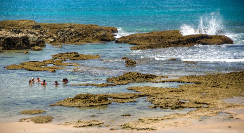 Pousada Bahia Bacana photo