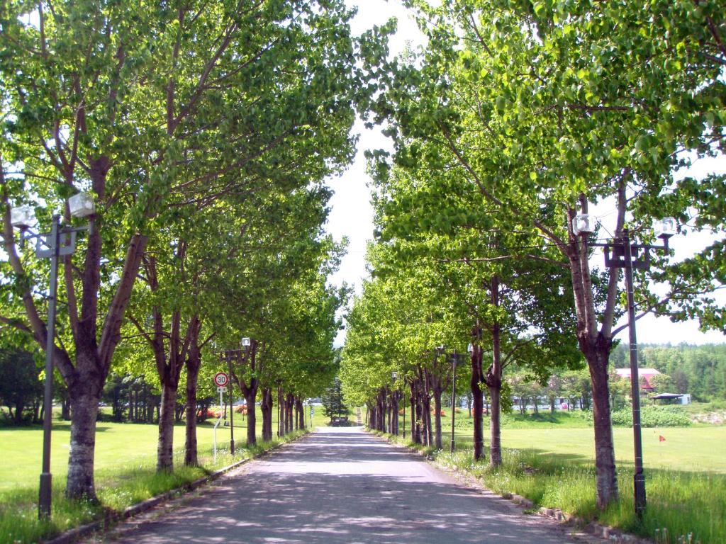 Surrounding environment