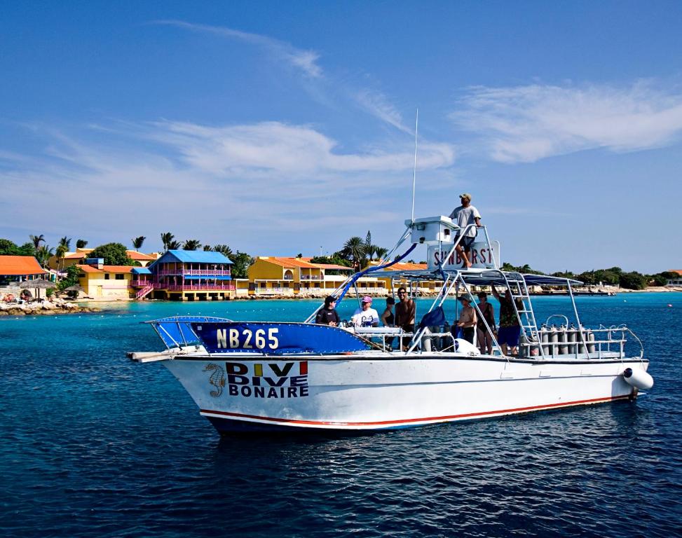 Divi Flamingo Beach Resort And Casino Photo 4