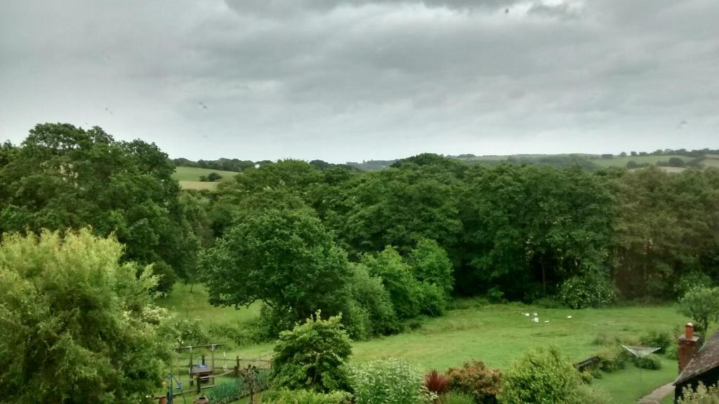 Woodpeckers Cottage B&B photo