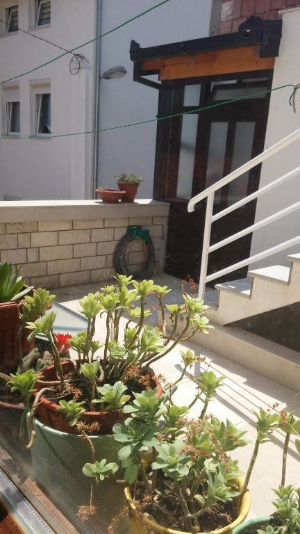 Guest House Stari photo