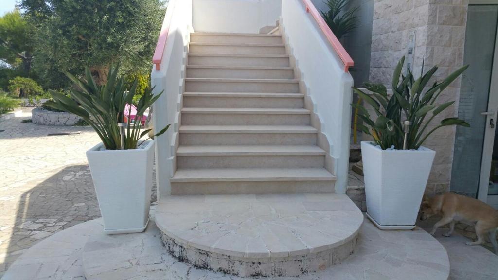 Villa Santo Stefano - 3