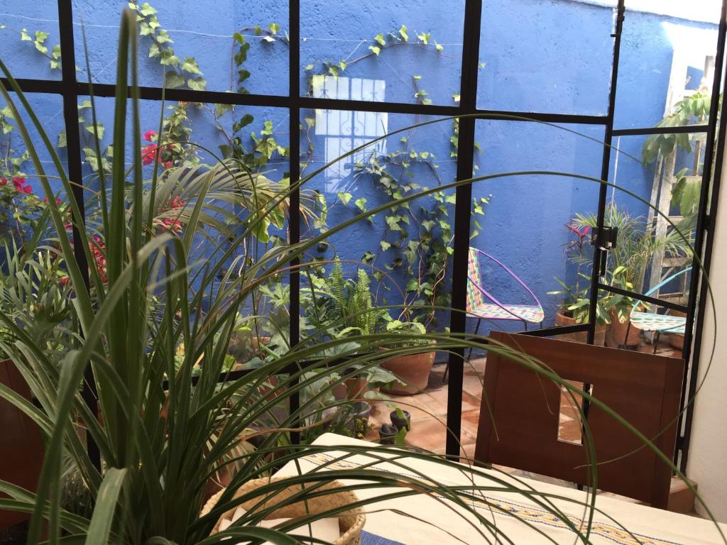 Casa Molcajete photo