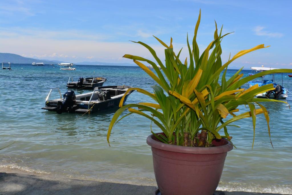 Capt'n Gregg's Dive Resort photo
