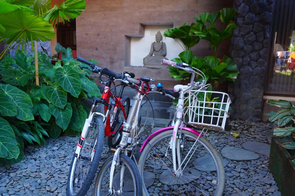 アクティビティ