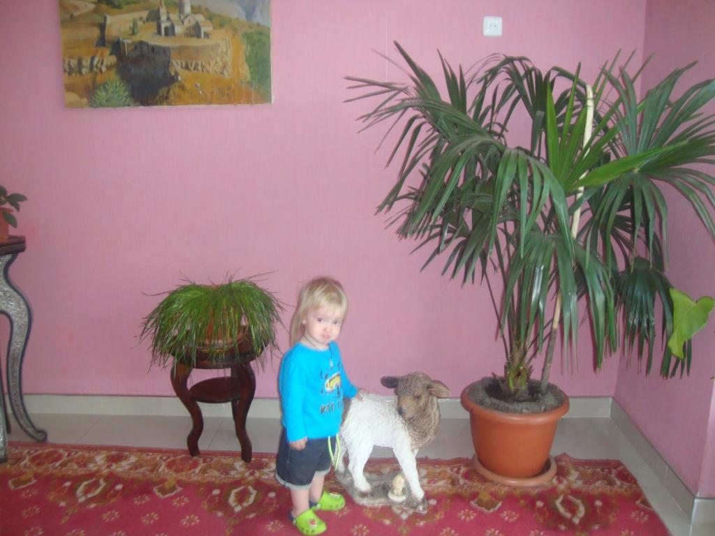 Hotel MIRA photo