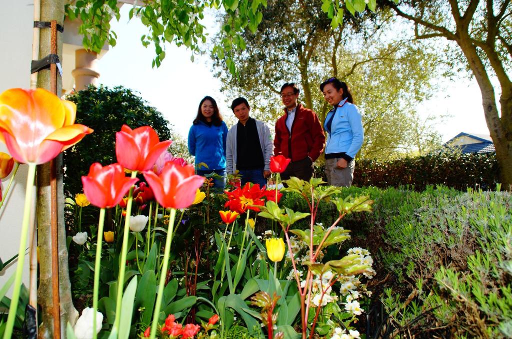 Bed and Breakfast (B&B) in Christchurch, New Zealand price from 84