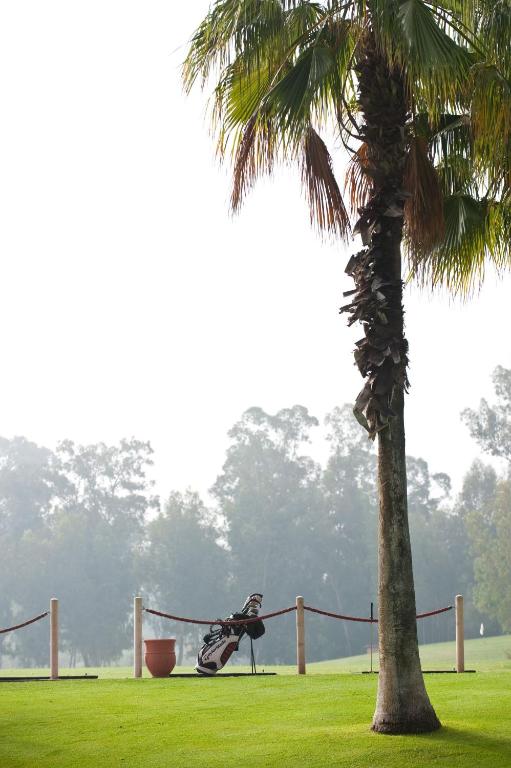 Golf course [on-site]