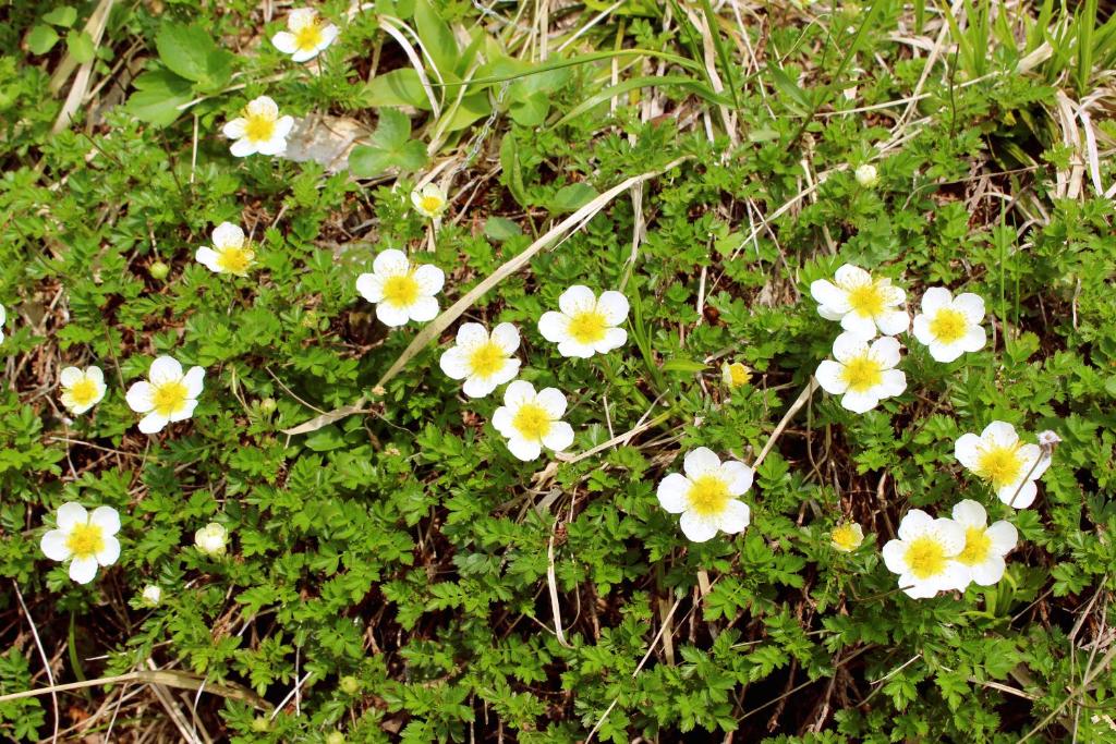 Surrounding environment