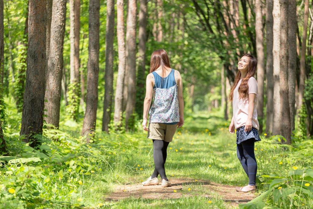 Surrounding environment