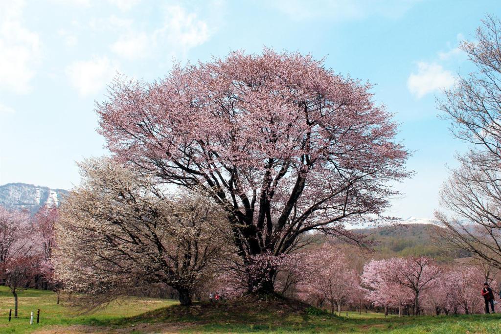 Surrounding environment