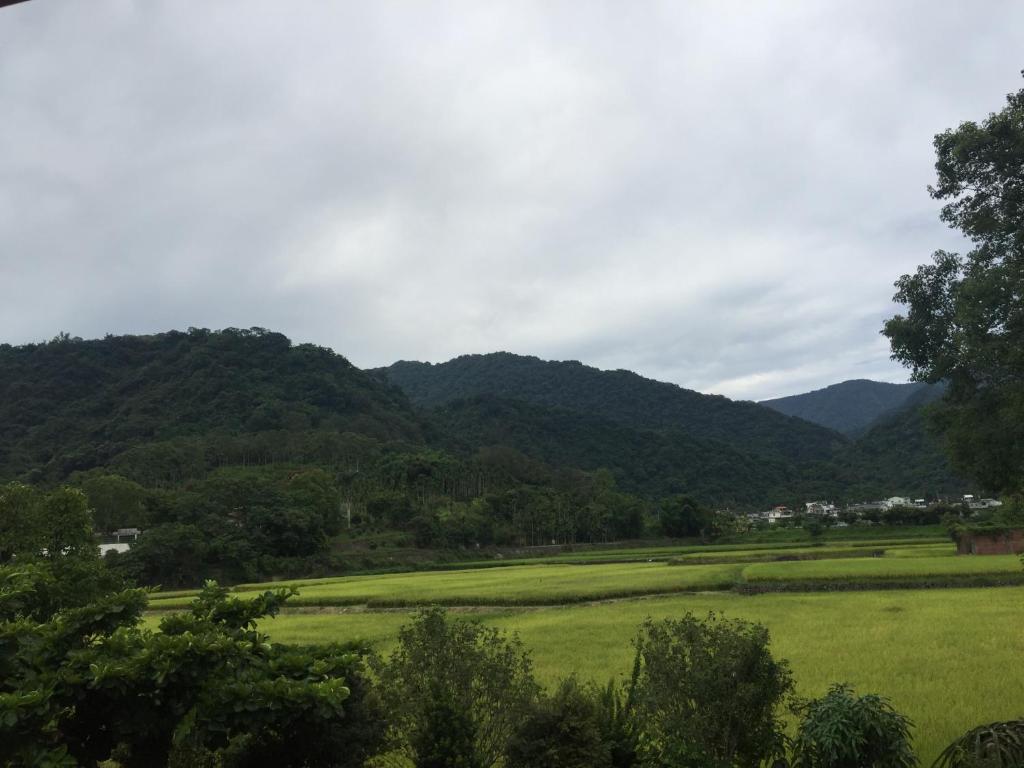 周辺案内
