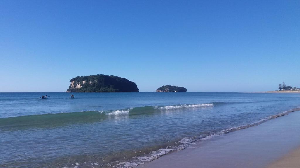 Surf N Stay Whangamata photo
