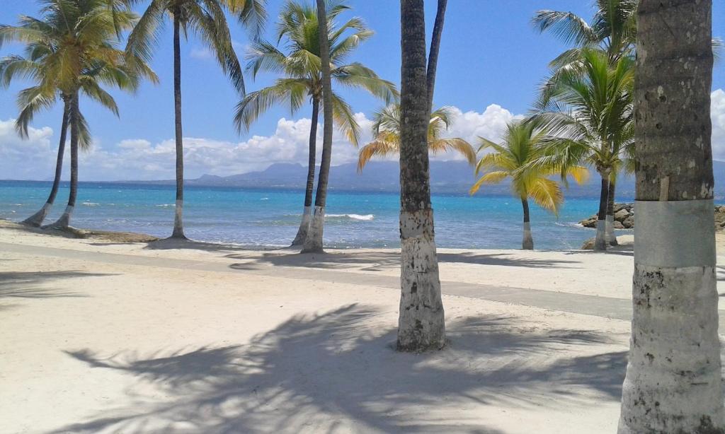 Studio Sable Cannelle, Le Gosier