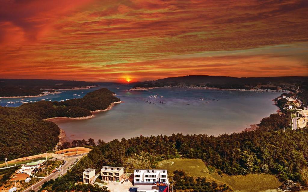 Surrounding environment