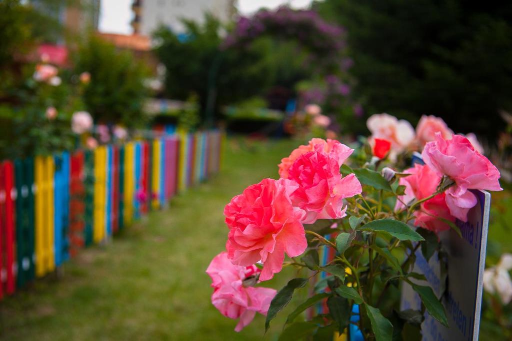 Park Hotel Perla — Attractions in the area in Golden Sands, Varna Region