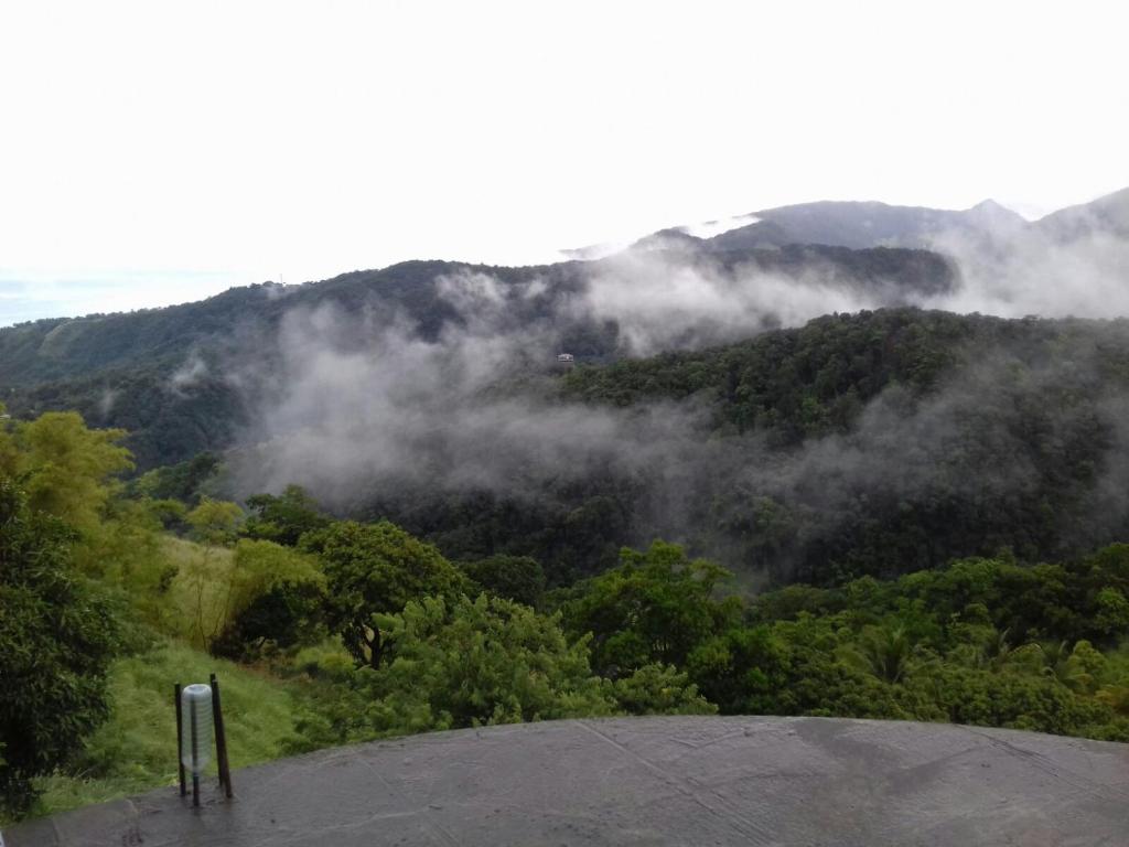 Surrounding environment