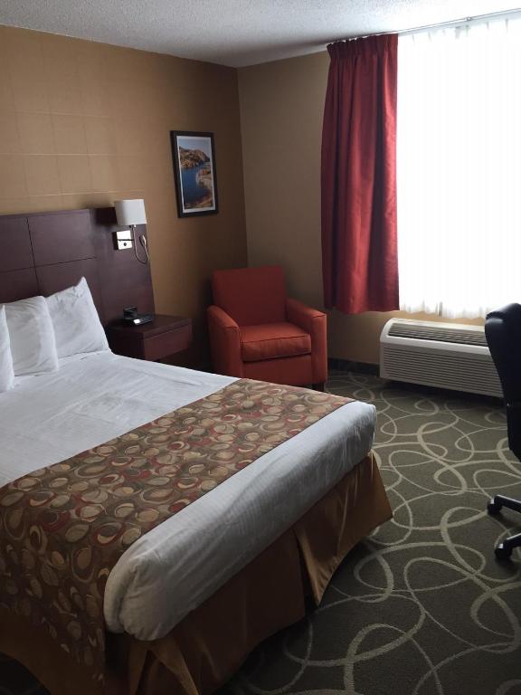 Quality Hotel & Suites photo