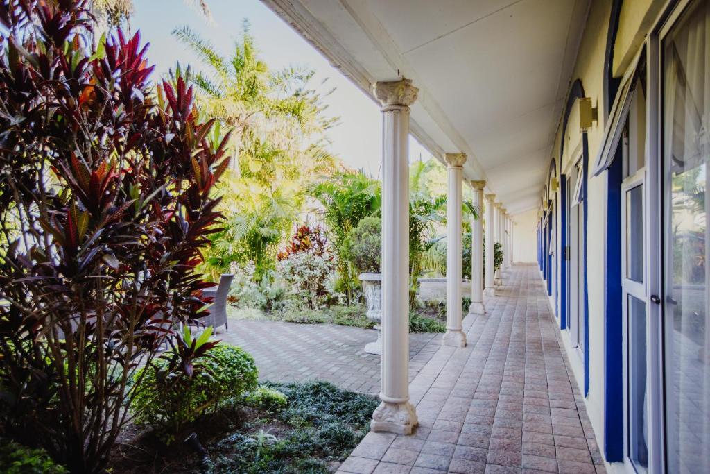 Garden, Santorini Guesthouse in East London