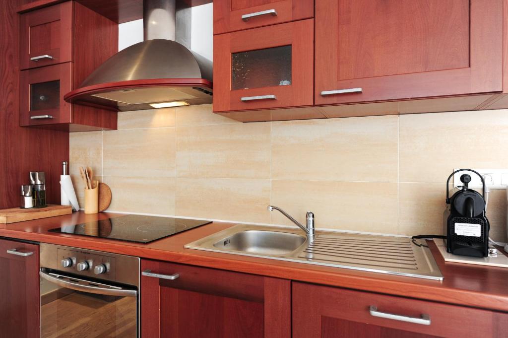 Kitchen, Appartamento La Terrasse Zen Five stars Holiday House in Nice