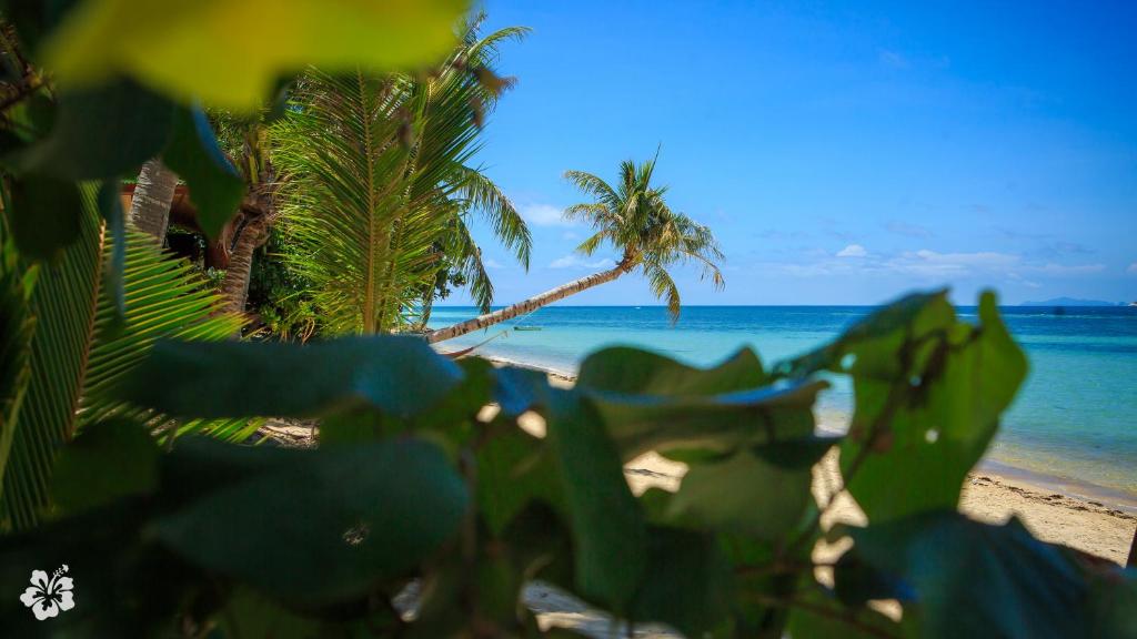 Seaflower Bungalows photo