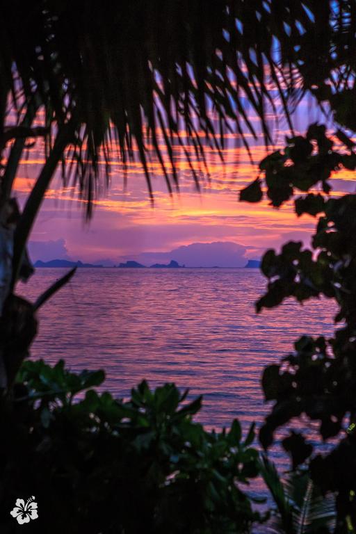 Seaflower Bungalows photo