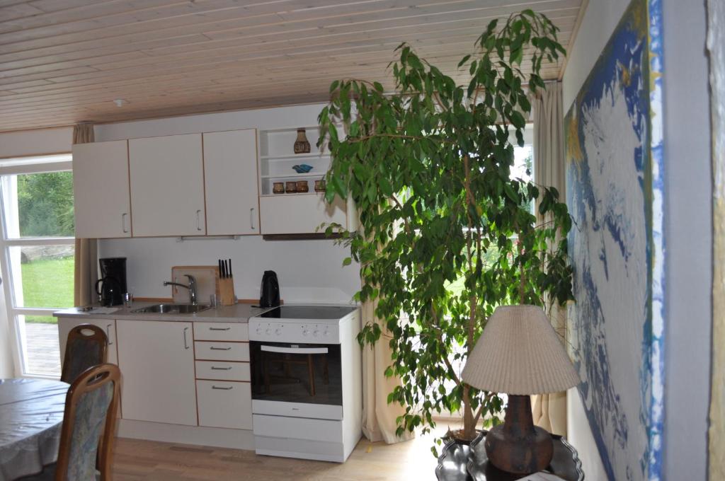 Kitchen, Koebenhovedskov Bed & Breakfast in Rodding