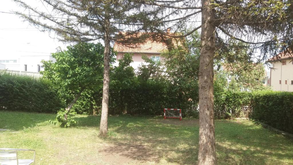 Guest House Zoran - 4