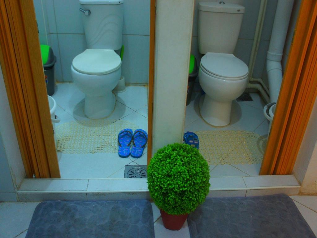 Shejoje Poshtel Hostel photo