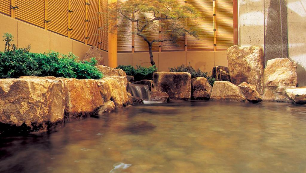 Hot spring bath