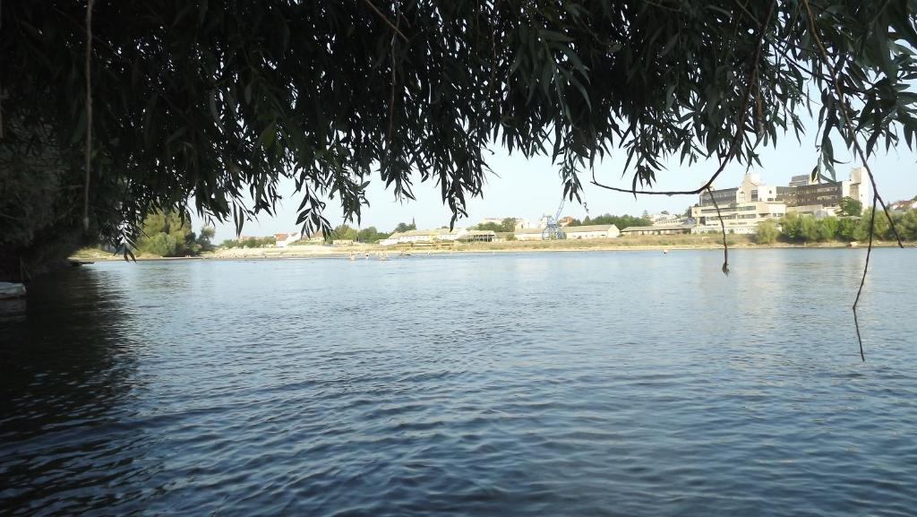 Surrounding environment