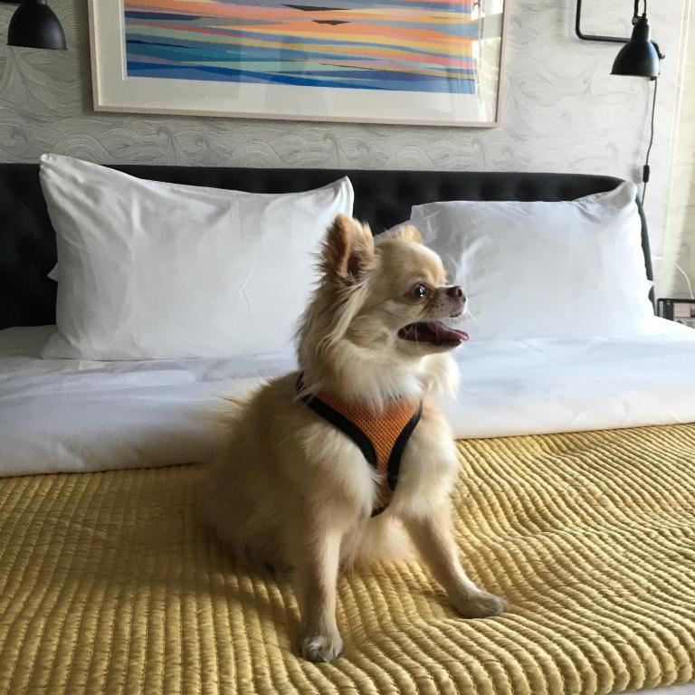 250 Main Hotel photo