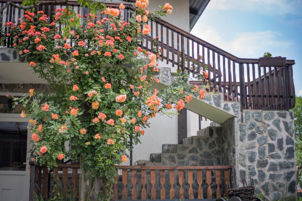 Guest House ViA photo