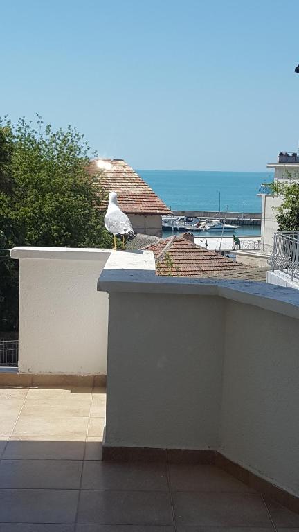 Bukor Shtepi Lux Apartments photo