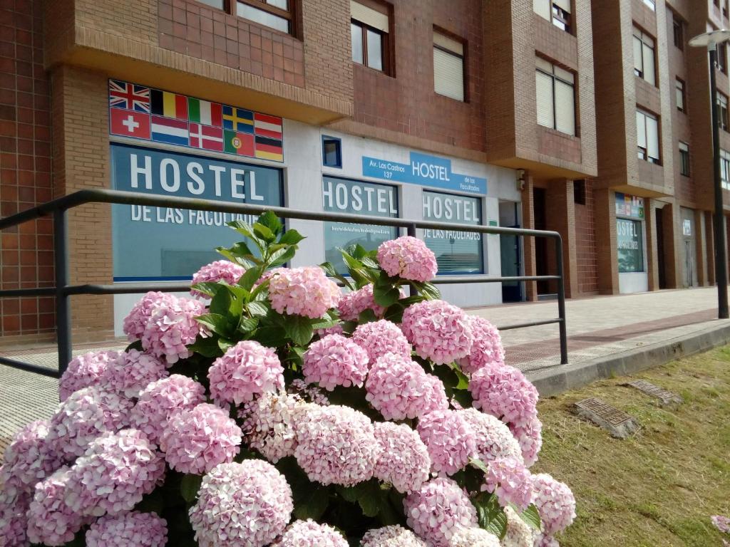 Hostel de las Facultades — Hotel in Santander