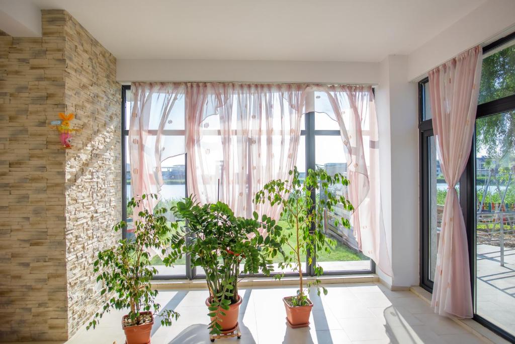 Hotel Vis photo