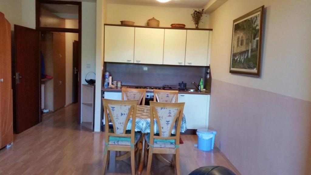 Zlatibor Jezero Apartman - 4