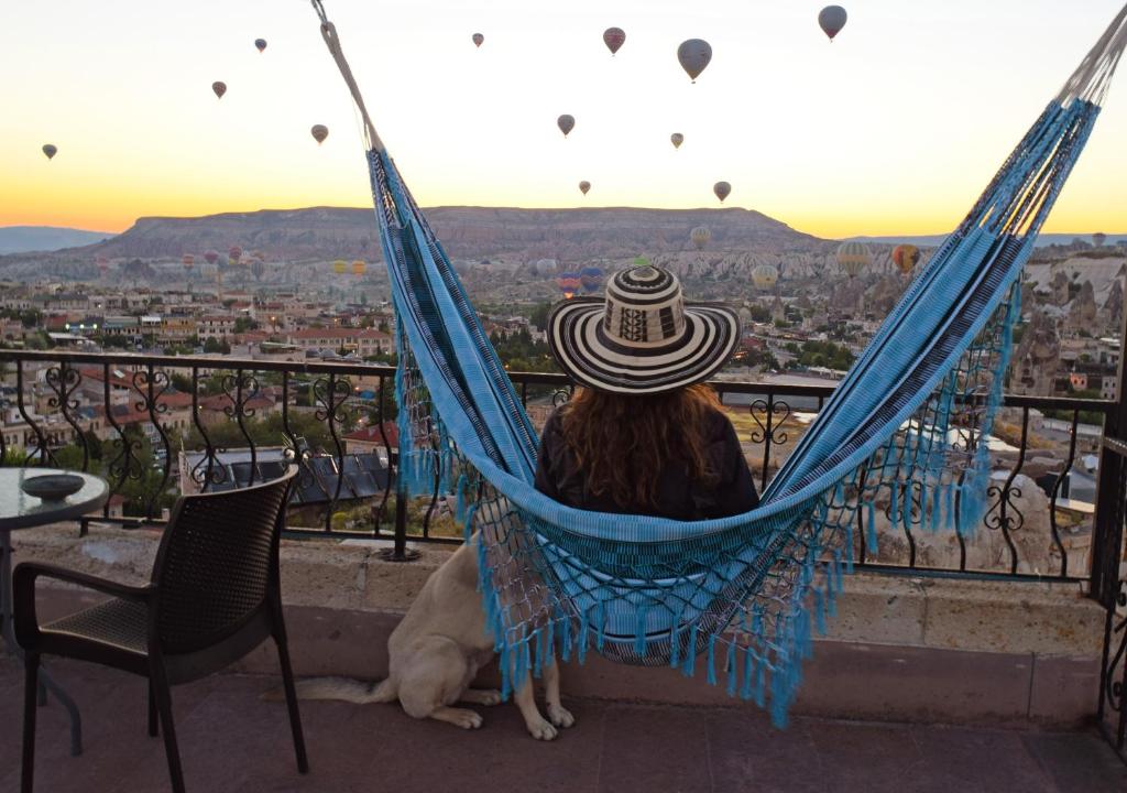 Vista/Panorama