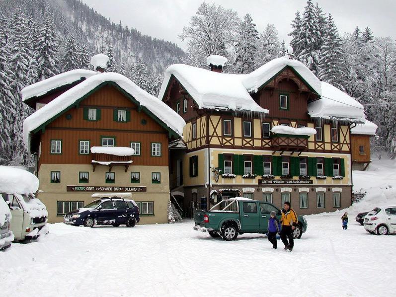 Jugendgästehaus Gosauschmied - 1