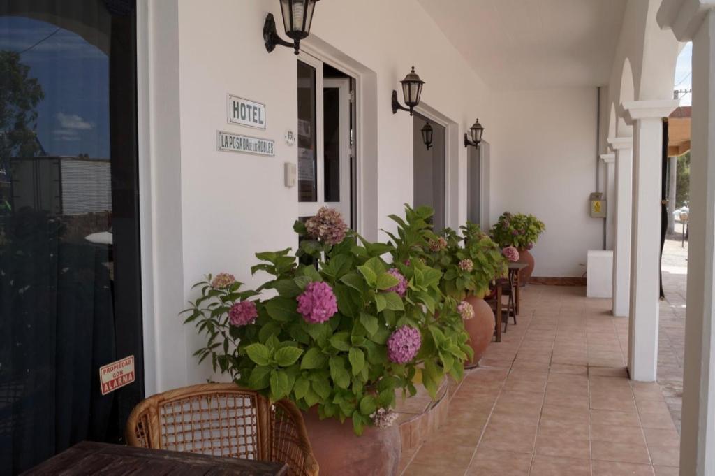 La Posada de los Robles - 2