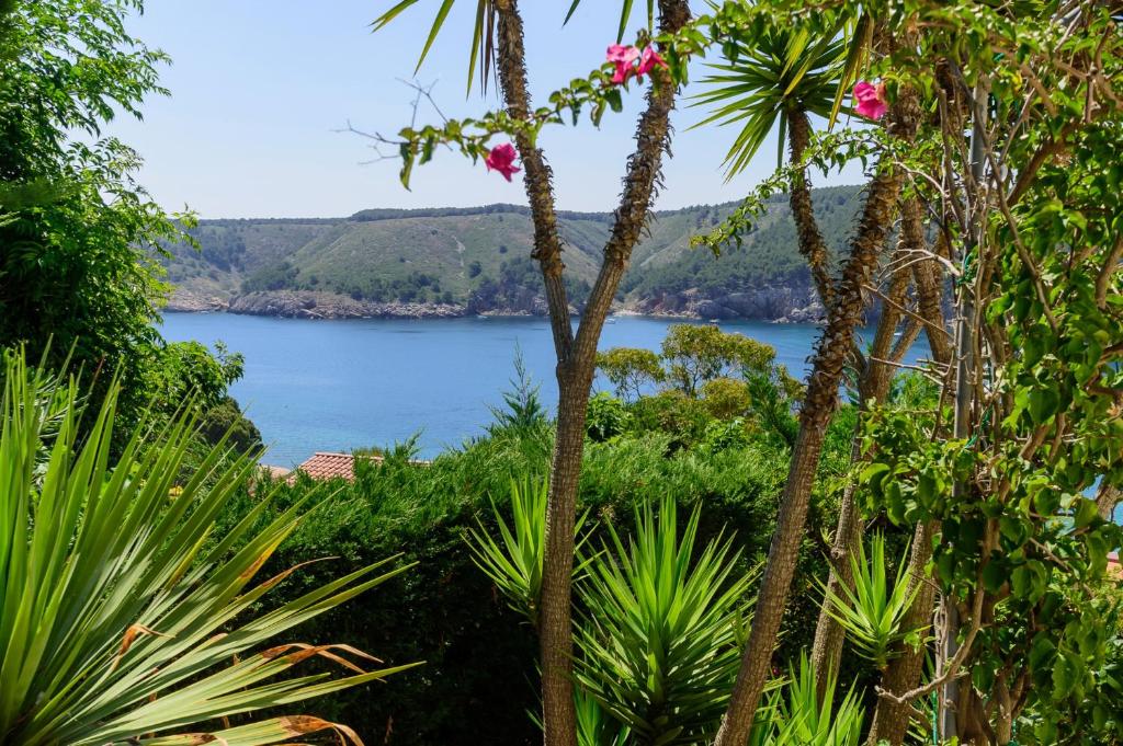 Costabravaforrent Palas Atenea - 3