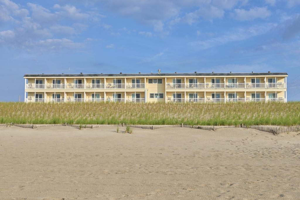 Drifting Sands photo