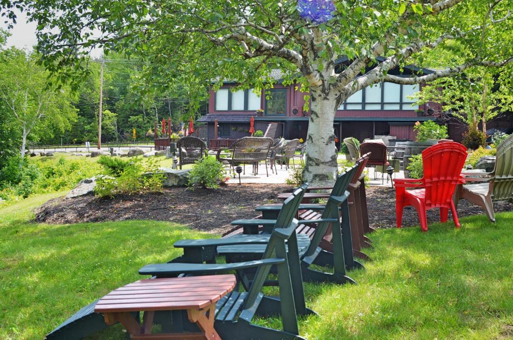 Hungry Trout Resort photo
