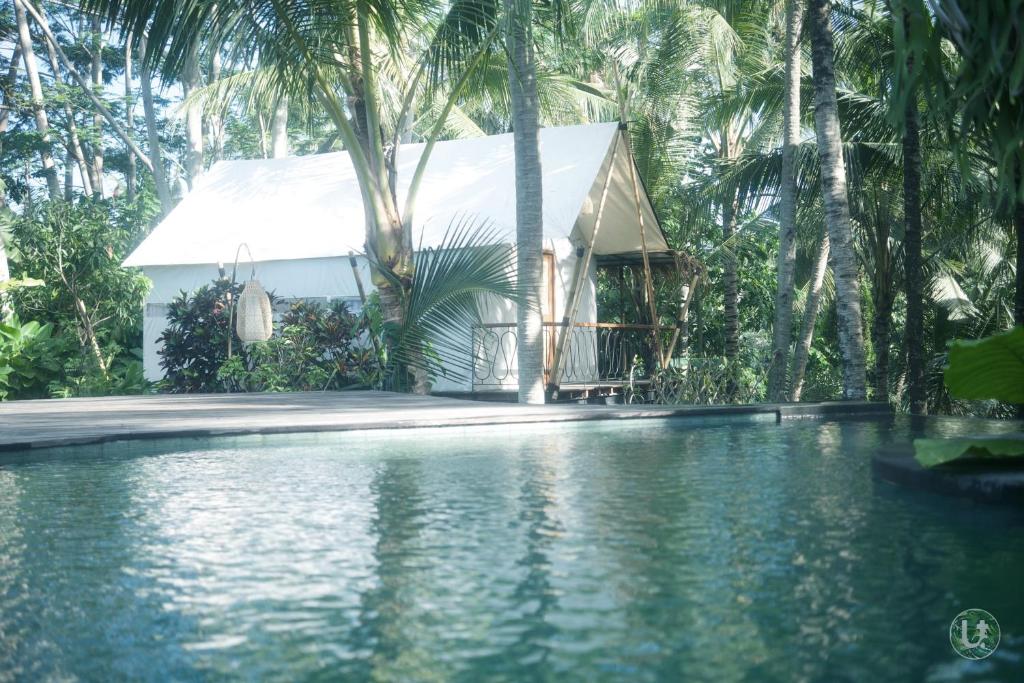 Kolam renang