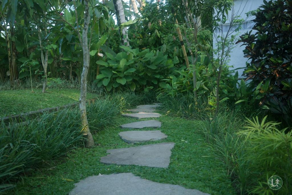 Pintu masuk