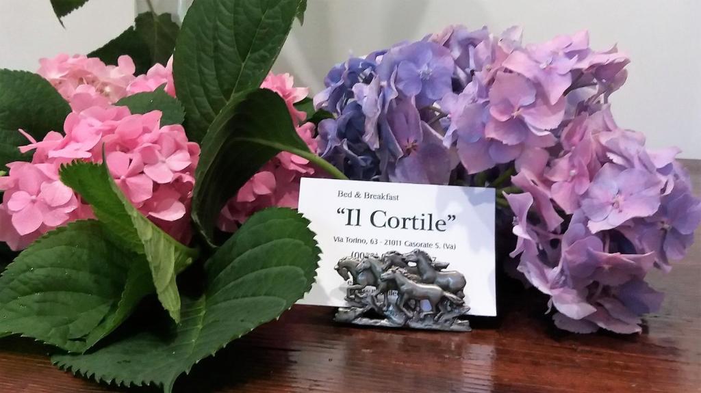 B&amp;B il Cortile Malpensa — Hotel in Milan
