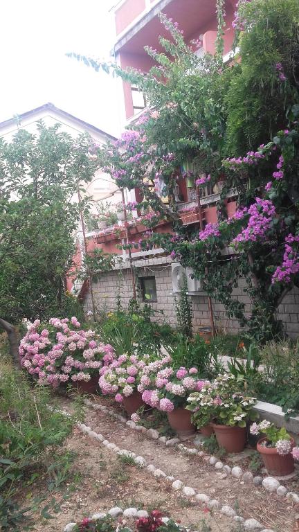 Apartments Marica photo