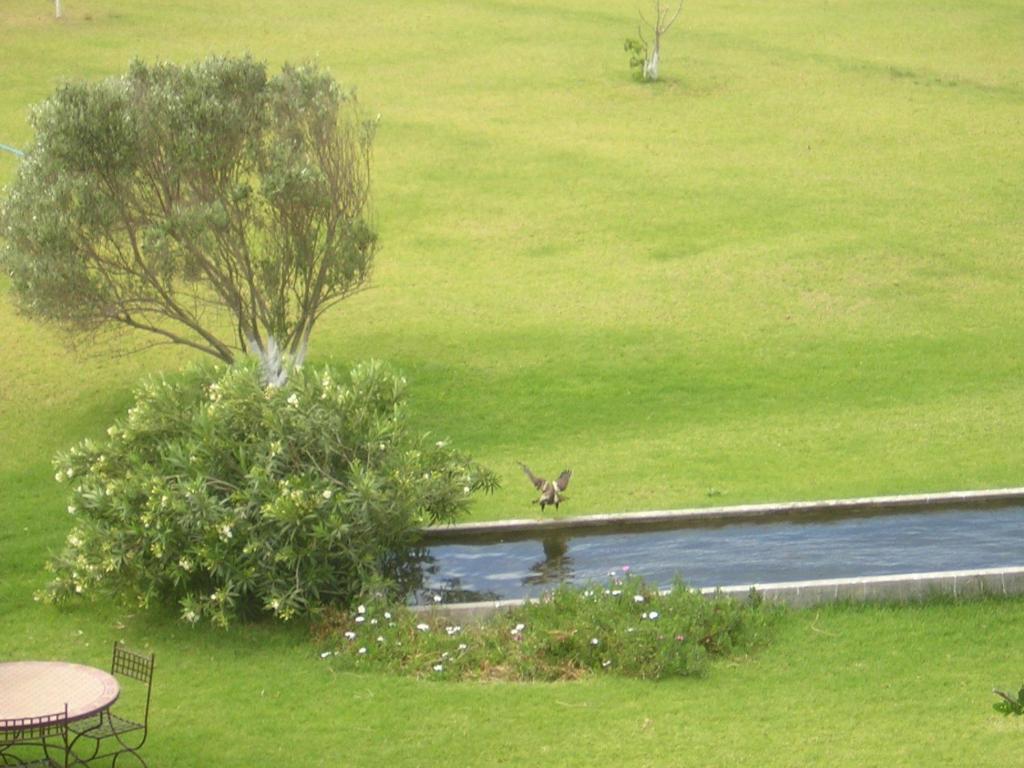Surrounding environment