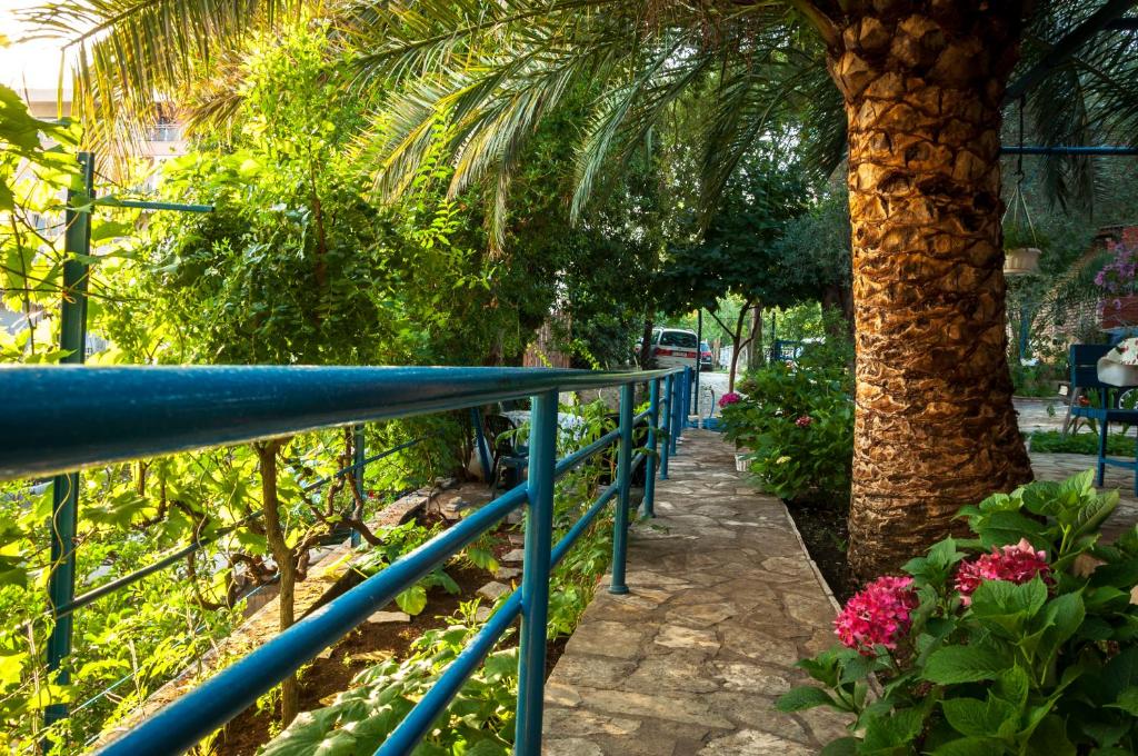 Apartments Villa Petranović - 4